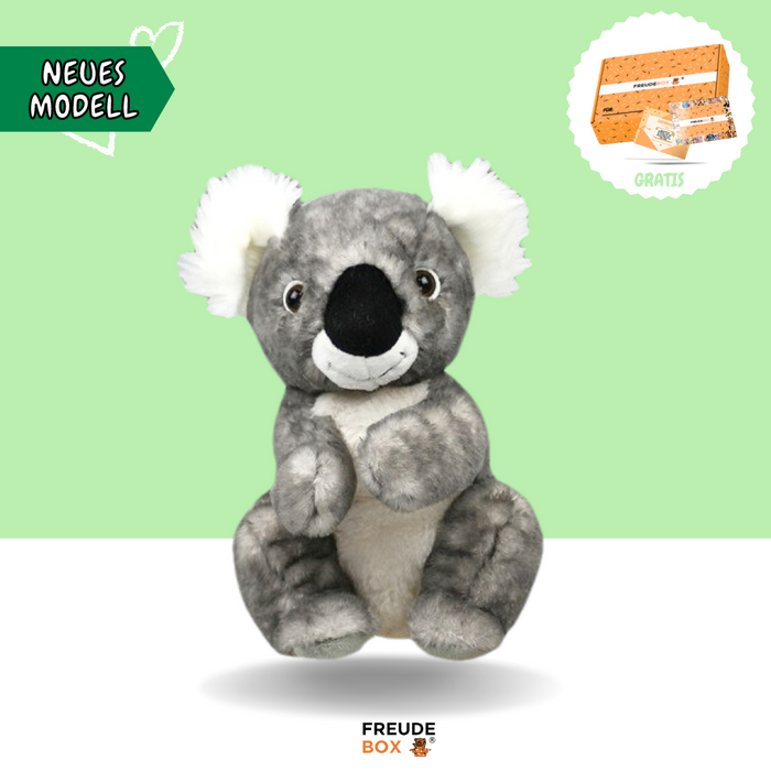 Koa der Koala