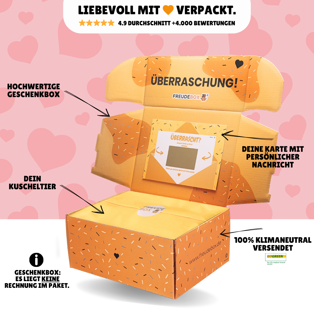 Valentinstag FREUDEBOX