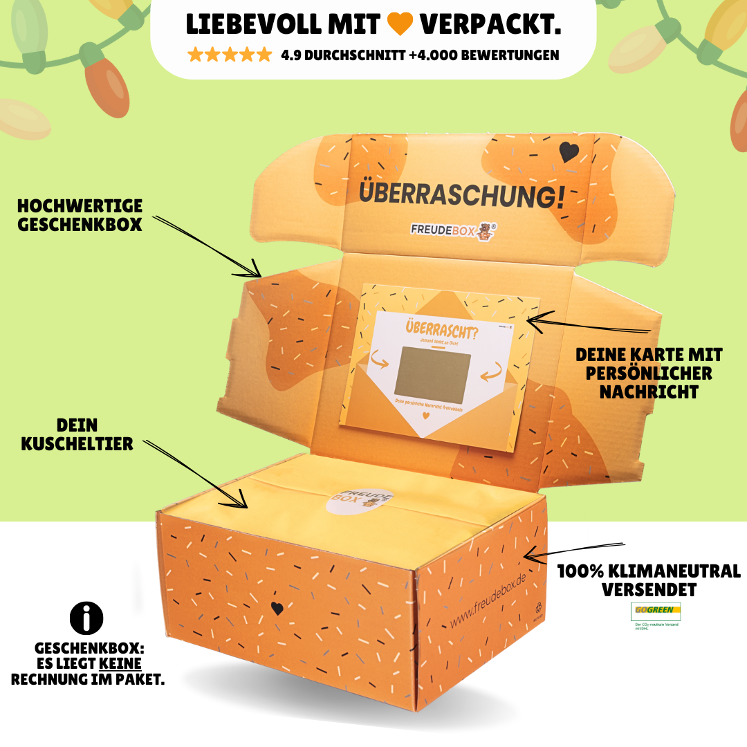 Weihnachtsmuffel FREUDEBOX